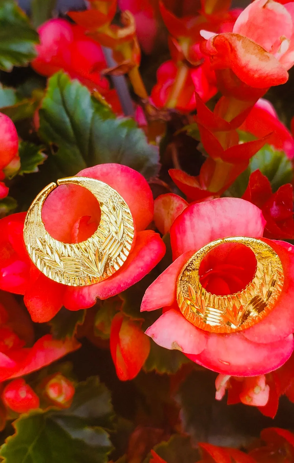 Real Silver 24k Gold Filled fashionable Nattiyan Earrings